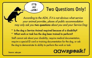 Service Dog Training For Sensory Processing Disorder Service Dog Training For Sensory Processing Disorder