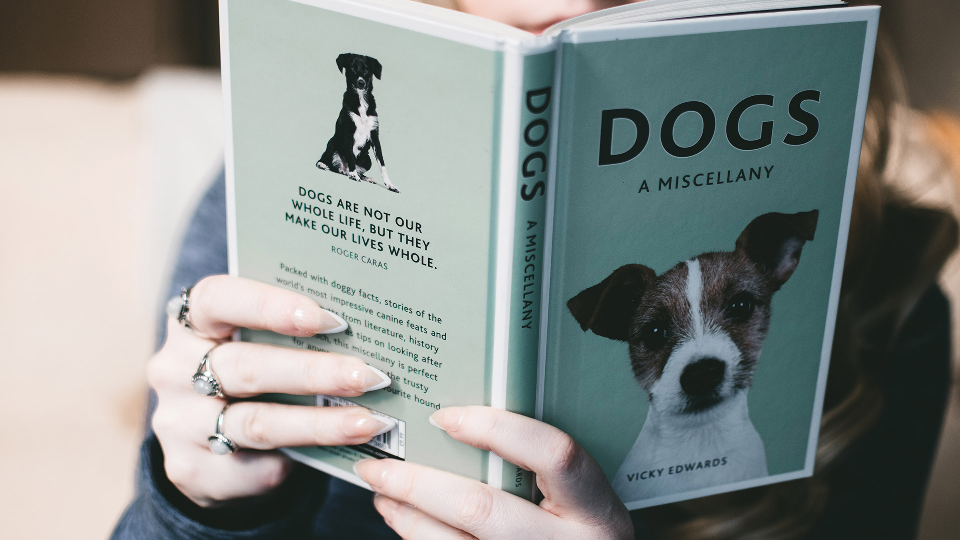 Top 10 Best Service Dog Training Resources | AnythingPawsable Top 10 Best Service Dog Training Resources | AnythingPawsable